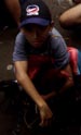 Boy at Cockfight