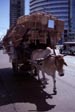 Wicker Vendor